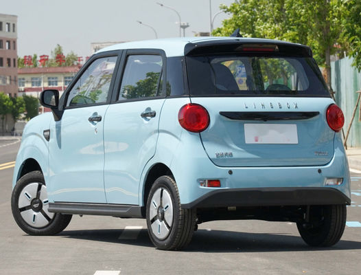 Lingbox Mini SUV entièrement électrique à main gauche 140 km de autonomie